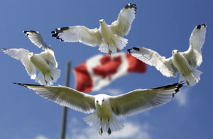 Fingerprint Room Canada background Fingerprint Room Canada background